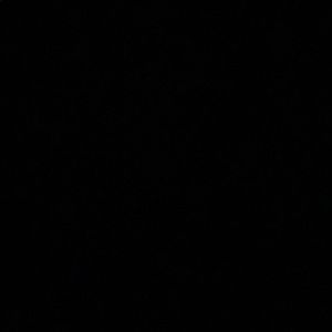 Meet your Posher, Kelsie